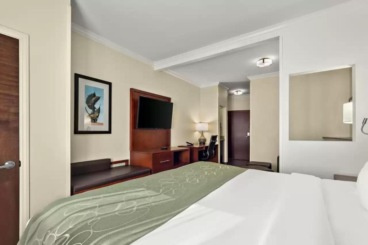 Comfort Suites Central Corpus Christi Esterno foto