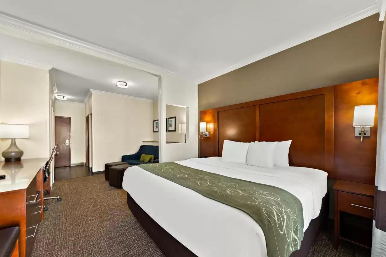 Comfort Suites Central Corpus Christi Esterno foto